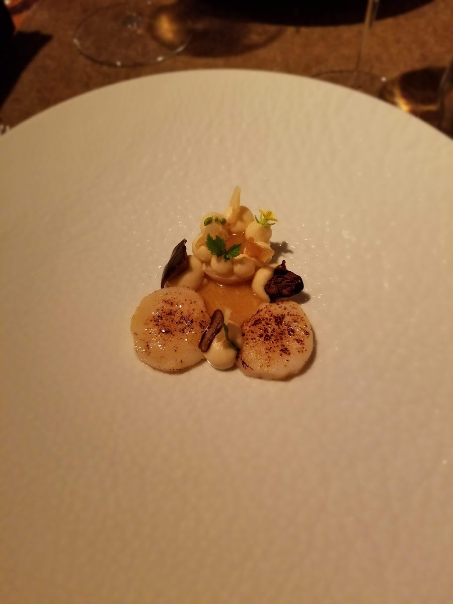 Restaurant Showroom-7